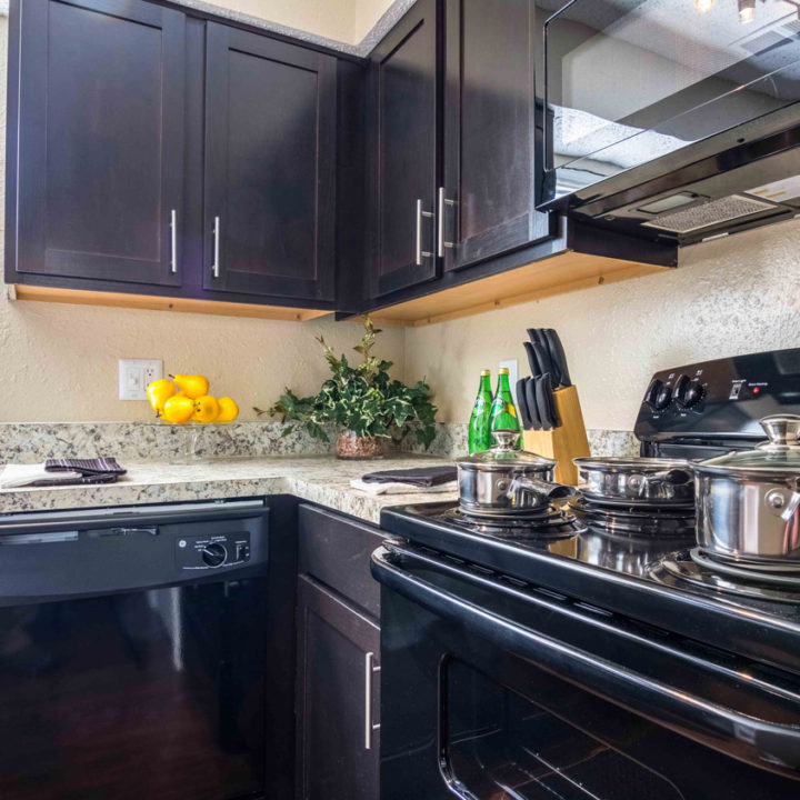 model_unit_1_kitchen_1.77913f3c-f0d5-4ce6-9938-12c2bdc85fd2 apartment kitchen in Longview, TX